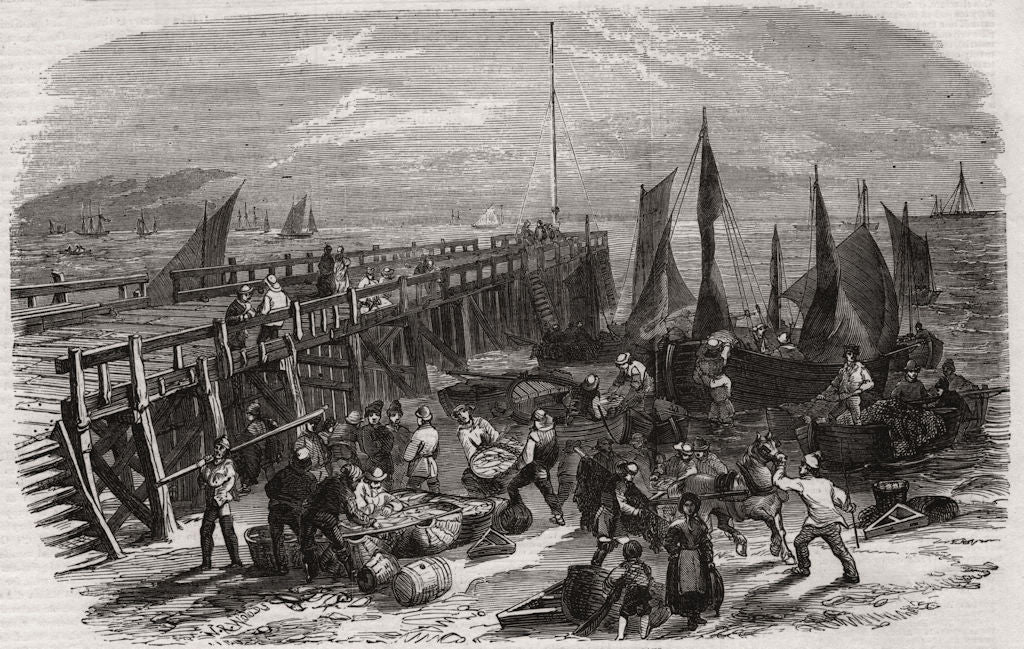 The Yarmouth herring fishery - return of the boats. Norfolk 1856 old print